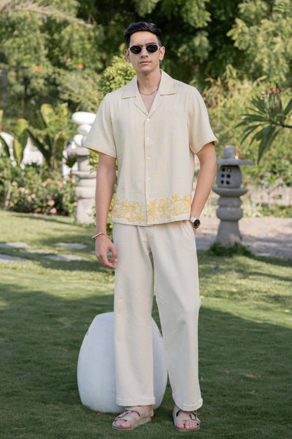 Chic Pants