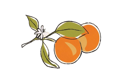 Orange icon